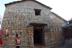 Tour image of One day Stone Forest and Nuohei Yi Village Tour