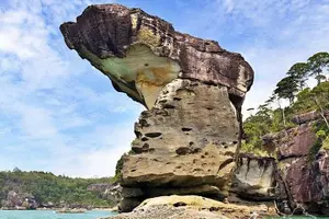 Tour image of Bako National Park from Kuching City