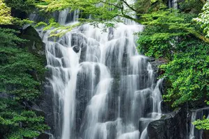 Tour image of From Fukuoka Kyushu Itoshima Hidden Gems Day Tour