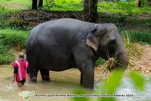 Tour image of 2-Hour Guided Eco-Tour & Transfer to Khaolak Elephant Sanctuary