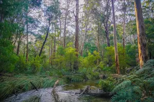 Image of Australia