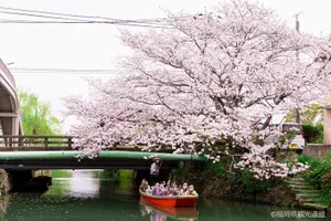 Tour image of Guided Train and Boat Tour of Dazaifu & Yanagawa from Fukuoka