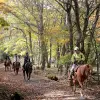 Image of Horseback Riding