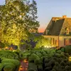 Image of Plantation Tours