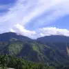 Image of Seasonal