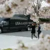 Image of Cherry Blossom