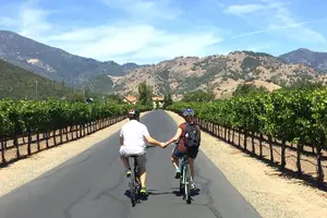 Tour image of Guided Healdsburg Wine Country Bike and Wine Tasting Tour with lunch