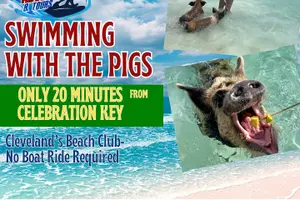 Tour image of Swim with the Pigs Freeport @Creative Eco Adventures