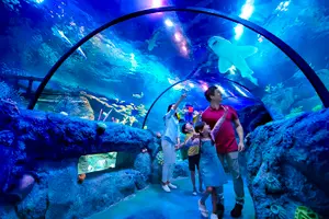 Tour image of LEGOLAND® Malaysia SEA LIFE