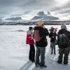 Image of Wildlife Watching