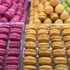 Image of Chocolate Tours