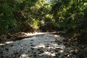 Image of Bangladesh
