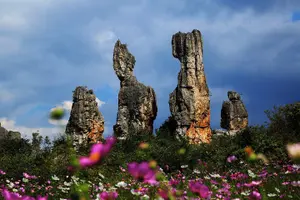 Tour image of Kunming Private Day Tour to Stone Forest and Chengzi Ancient Town