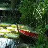 Image of Nature Walks