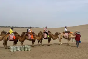 Tour image of Dunhuang Private Customized Silk Road Day Tour