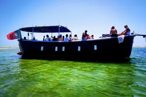 Tour image of Olhão: 5H PRIVATE Guided Boat Tour, Slow Tourism in Ria Formosa.