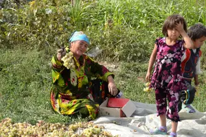 Tour image of Kolkhoz: Private visit to the cotton farmers' village