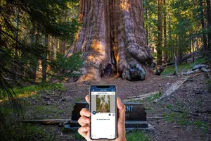 Tour image of Sequoia & Kings Canyon NP Self-Guided Driving Audio Tour