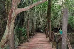 Tour image of Private Puerto Princesa Underground River, Ugong Cave & zipline