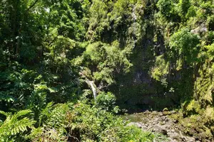 Tour image of Road to Hana: Full-Day Scenic Drive with Blacksand & Waterfalls