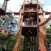 Image of Obstacle Courses