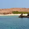 Image of Swim with Dolphins
