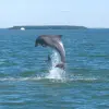 Image of Eco Tours