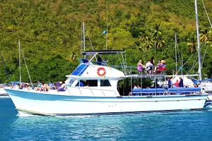 Tour image of Whale and Dolphin Watching Cruise in St Lucia