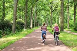 Tour image of Eindhoven: Guided bicycle tour of the Highlights of Eindhoven