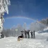 Image of Wildlife Watching