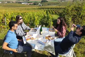 Tour image of Champagne tasting, panoramic walk in the vineyards