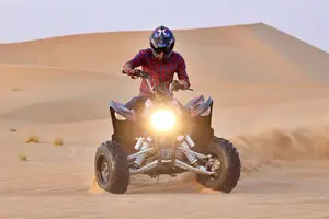 Tour image of Doha Private Half-Day Guided Desert Safari Tour