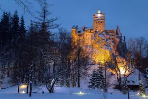 Tour image of Bear Sanctuary and Bran Castle with a Professional Licensed Guide—Day Trip