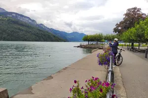 Tour image of Panoramic E-Bike Tour with a Lake Cruise