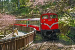 Tour image of Alishan Join In Day Tour from Taichung (Incl. Park Entrance)