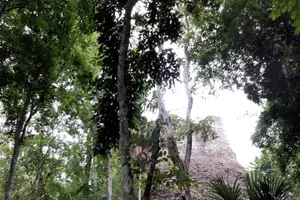Tour image of From Flowers Sunrise in Tikal and Sunset in Yaxha in a day