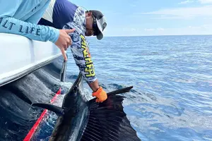 Tour image of Sport Fishing Private Guided 3/4 Day Charter in Costa Rica