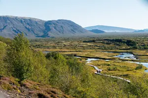 Tour image of Private Golden Circle, Sky Lagoon and Friðheimar Greenhouse Lunch