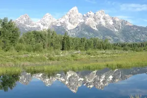 Tour image of Yellowstone National Park - Full-Day Lower Loop Tour from Jackson