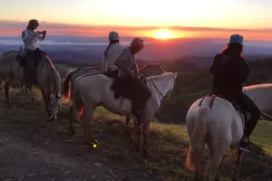 Tour image of Monteverde Cloud Forest Horseback Riding