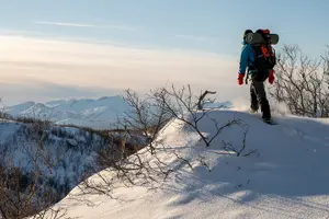 Tour image of Snowshoeing - Winter Day Trip in Bodo, Northern Norway