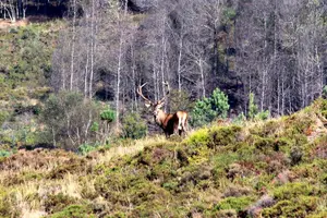 Tour image of Discovering Nature in Serra da Lousã