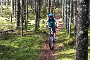 Tour image of Mountain Bike - Voss Forest