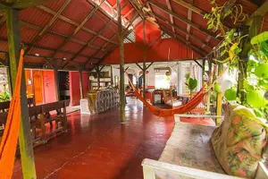 Tour image of 4-day Tortuguero + Pacuare Overnight