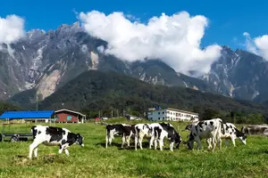 Tour image of Kinabalu Park & Poring Hot Spring Tour