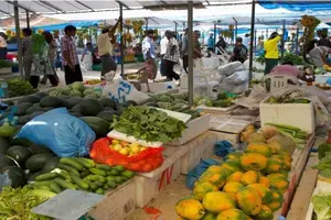 Tour image of Private Male City Walking Tour with optional Vilimale tour