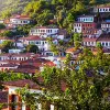 Image of Coffee & Tea Tours