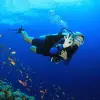 Image of Freediving