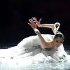 Image of Shows & Performances