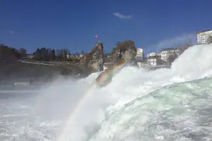 Tour image of Rhine Falls Coach Tour incl. entry tickets from Zurich